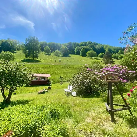 Διαμέρισμα Gartenblick Im Haus Gerlach Walkenried