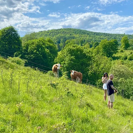 Gartenblick Im Haus Gerlach Walkenried