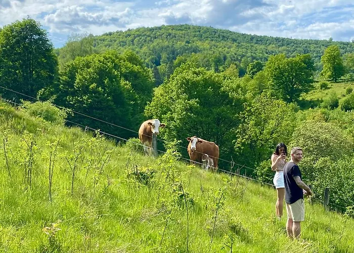 Gartenblick Im Haus Gerlach Walkenried